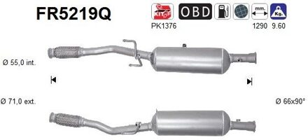 Citroen Roetfilter, uitlaatinstallatie FR5219Q