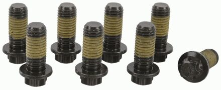 Citroen Sachs Schroevenset 1874000072