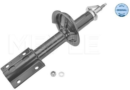 Citroen Schokdemper 40266230001