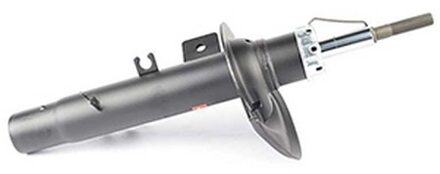 Citroen Schokdemper BSG70300015