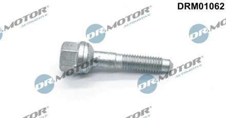 Citroen Schroef, inspuitstukhouder DRM01062