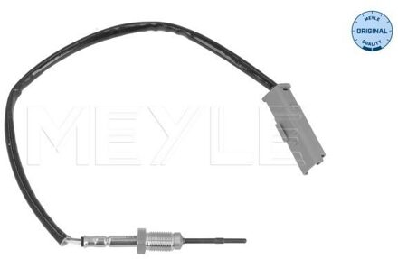 Citroen Sensor, uitlaatgastemperatuur 11148000018