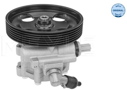 Citroen Servo pomp 11146310010