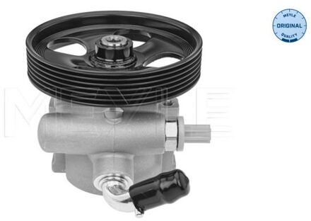 Citroen Servo pomp 11146310014