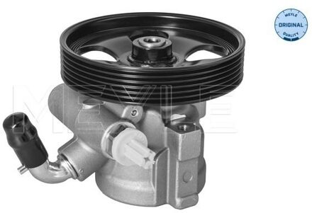 Citroen Servo pomp 11146310016