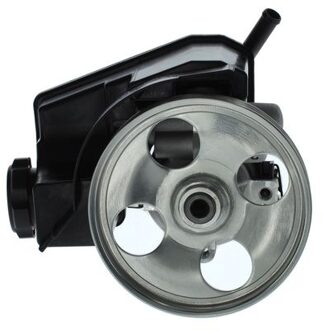 Citroen Servo pomp FP4