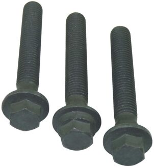 Citroen Set schroeven voor riemschijf-nokkenas 80004873