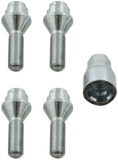 Citroen Set wielbouten