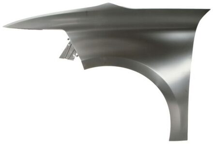 Citroen Spatbord 6504040538313P