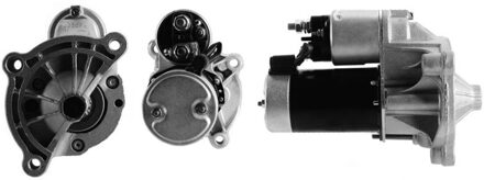 Citroen Startmotor / Starter 251198