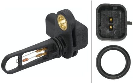 Citroen Temperatuursensor 6PT009109321