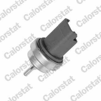 Citroen Temperatuursensor WS3015