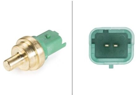 Citroen Temperatuursensor