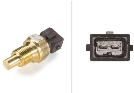 Citroen Temperatuursensor