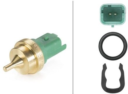 Citroen Temperatuursensor