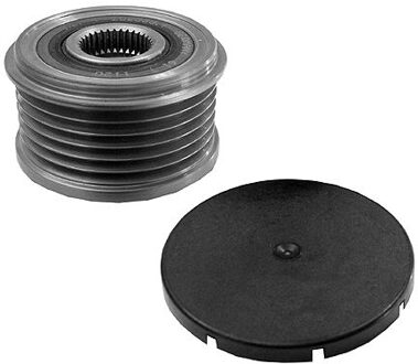 Citroen Vrijlooppoelie AP9023