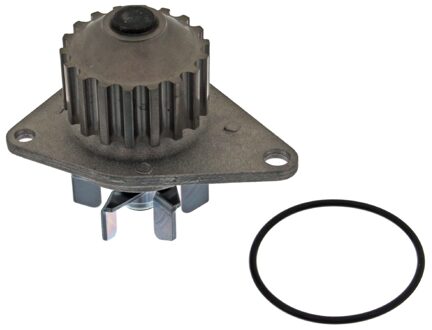 Citroen Waterpomp 22490