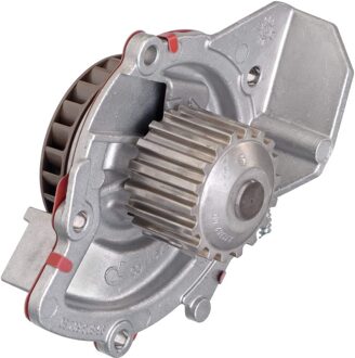 Citroen Waterpomp 701890080