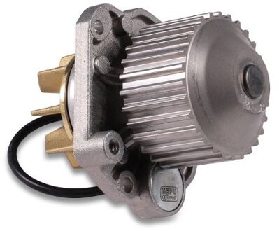 Citroen Waterpomp P1075