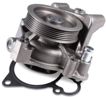 Citroen Waterpomp P1203