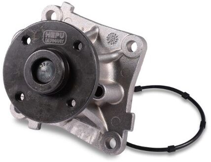 Citroen Waterpomp P131