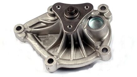Citroen Waterpomp P810