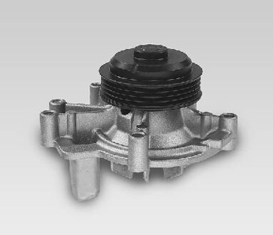 Citroen Waterpomp P829