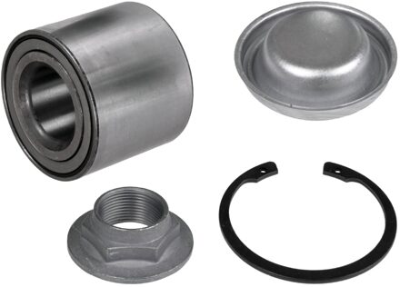 Citroen Wiellager 100506