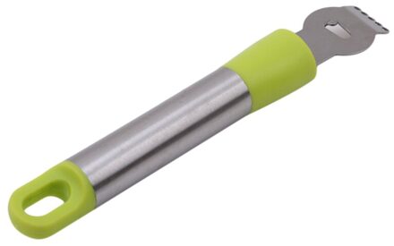 Citrus Citroen Zester & Kaasrasp-Parmezaanse Kaas Citroen Gember Knoflook Nootmuskaat Chocolade Groenten Fruit Keuken Gereedschap