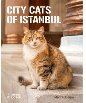 City Cats Of Istanbul - Marcel Heijnen