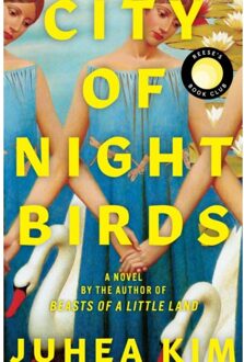 City Of Night Birds - Juhea Kim