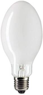 CityWhite CDO-ET Plus 100W 829 E40 (MASTER)