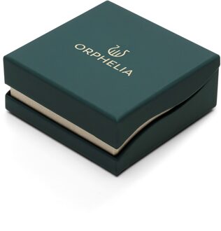 'Clara' Dames 925 Sterling Zilveren Hangoorbellen - Zilver ZO-7515