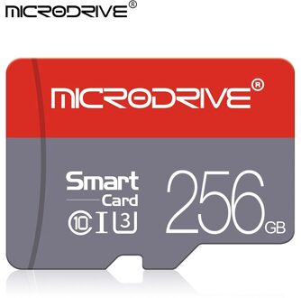 Class 10 Micro Sd Card High Speed Geheugenkaart 128Gb 64Gb 32Gb 16Gb Mini Flash Disk Tf kaart Voor Rijden Recorder 256GB