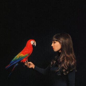 Claude Fontaine (LP)