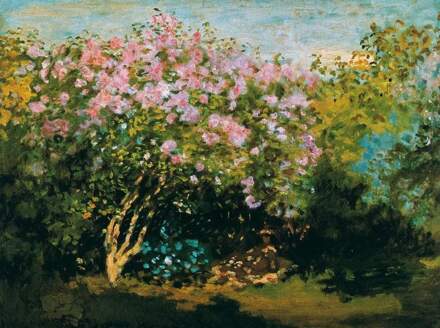 Claude Monet - Blühender Flieder In Der Sonne Kunstdruk 80x60cm