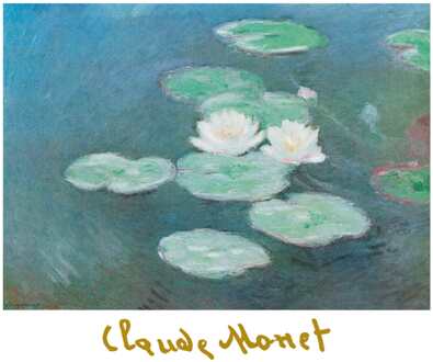 Claude Monet - Ninfee Nella Luce Kunstdruk 80x60cm