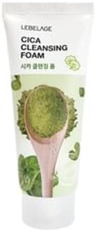 Cleansing Foam - 9 Types Cica