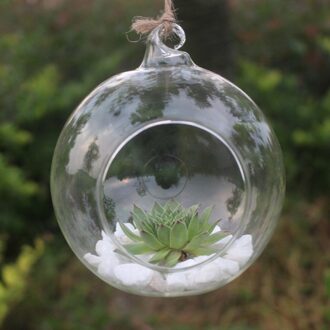 Clear Bloem Opknoping Bal Vaas Planter Terrarium Container Borosilicaatglas Voor Succulent Planten Home Decor 8/10/12cm