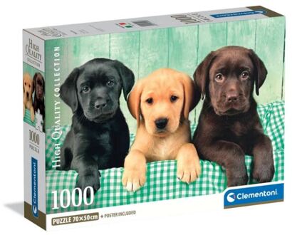Clementoni puzzel 1000pcs labradors