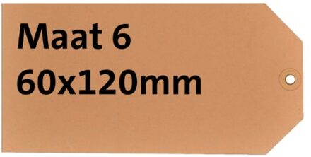 Cleverpack Label karton nr6 200gr 60x120mm chamois 1000stuks