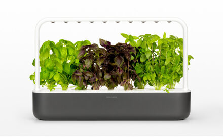 Click & Grow Smart Garden 9 - Dark Grey
