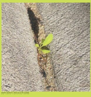 Close-Up On The Outside - Booker Stardrum