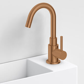 Clou Fonteinkraan Hoog Clou Freddo Geborsteld Brons PVD Goud