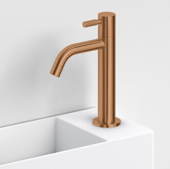 Clou Fonteinkraan Hoog Clou Freddo Geborsteld Brons PVD