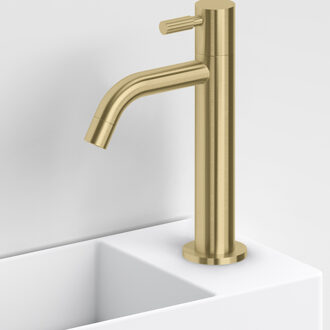 Clou Fonteinkraan Hoog Clou Freddo Geborsteld Goud PVD Gold Brass
