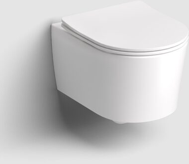 Clou InBe 1 wandtoilet met toiletzitting versie 48 cm mat wit IB/04.01141.20 Wit mat