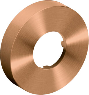 Clou Muurrozet 6cm, brons geborsteld PVD t.b.v. Mini Suk sifon