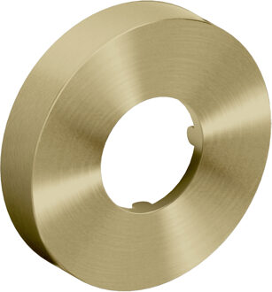 Clou Muurrozet 6cm, goud geborsteld PVD t.b.v. Mini Suk sifon