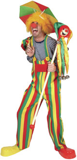 Clown verkleed kostuum tuinbroek - gestreept - volwassenen - Carnaval verkleedkleding Multi
